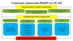Структура управления МАДОУ д/с №165