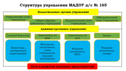 Структура управления МАДОУ д/с № 165